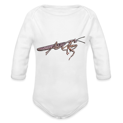 Baby Body lang Rhombodera kirbyi male - weiß