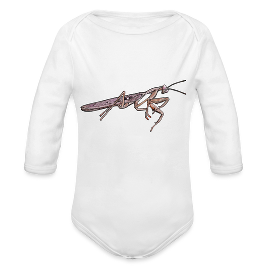 Baby Body lang Rhombodera kirbyi male - weiß