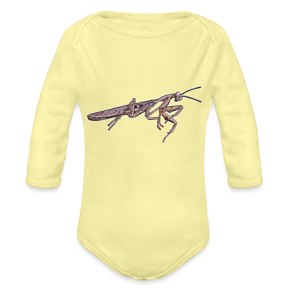 Baby Body lang Rhombodera kirbyi male - Hellgelb