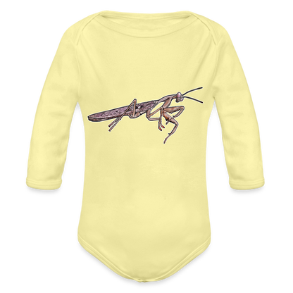 Baby Body lang Rhombodera kirbyi male - Hellgelb