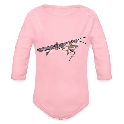 Baby Body lang Rhombodera kirbyi male - Hellrosa