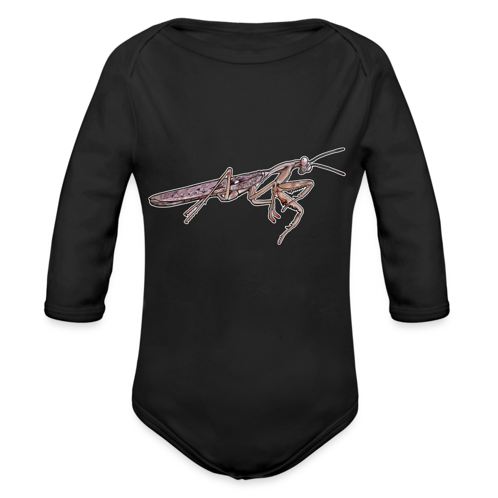 Baby Body lang Rhombodera kirbyi male - Schwarz