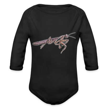 Baby Body lang Rhombodera kirbyi male - Schwarz