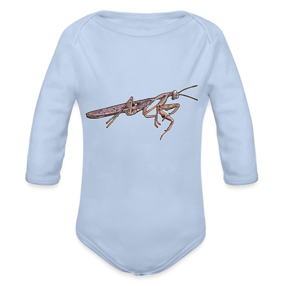 Baby Body lang Rhombodera kirbyi male - Sky