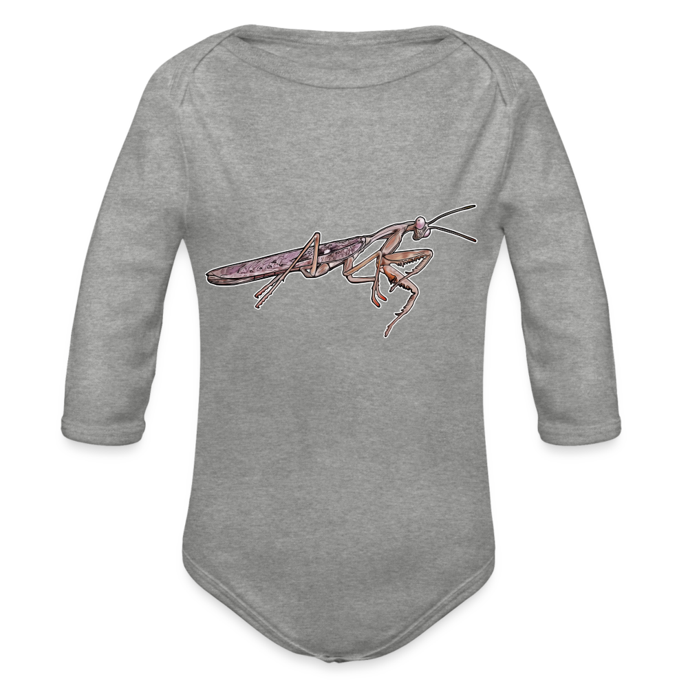 Baby Body lang Rhombodera kirbyi male - Grau meliert