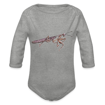 Baby Body lang Rhombodera kirbyi male - Grau meliert