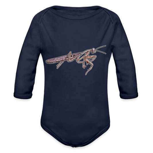 Baby Body lang Rhombodera kirbyi male - Dunkelnavy