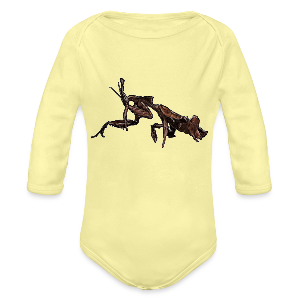 Baby Body lang Phyllocrania paradoxa female 2 - Hellgelb