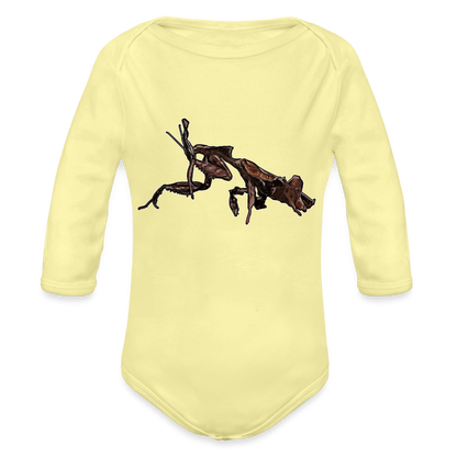 Baby Body lang Phyllocrania paradoxa female 2 - Hellgelb