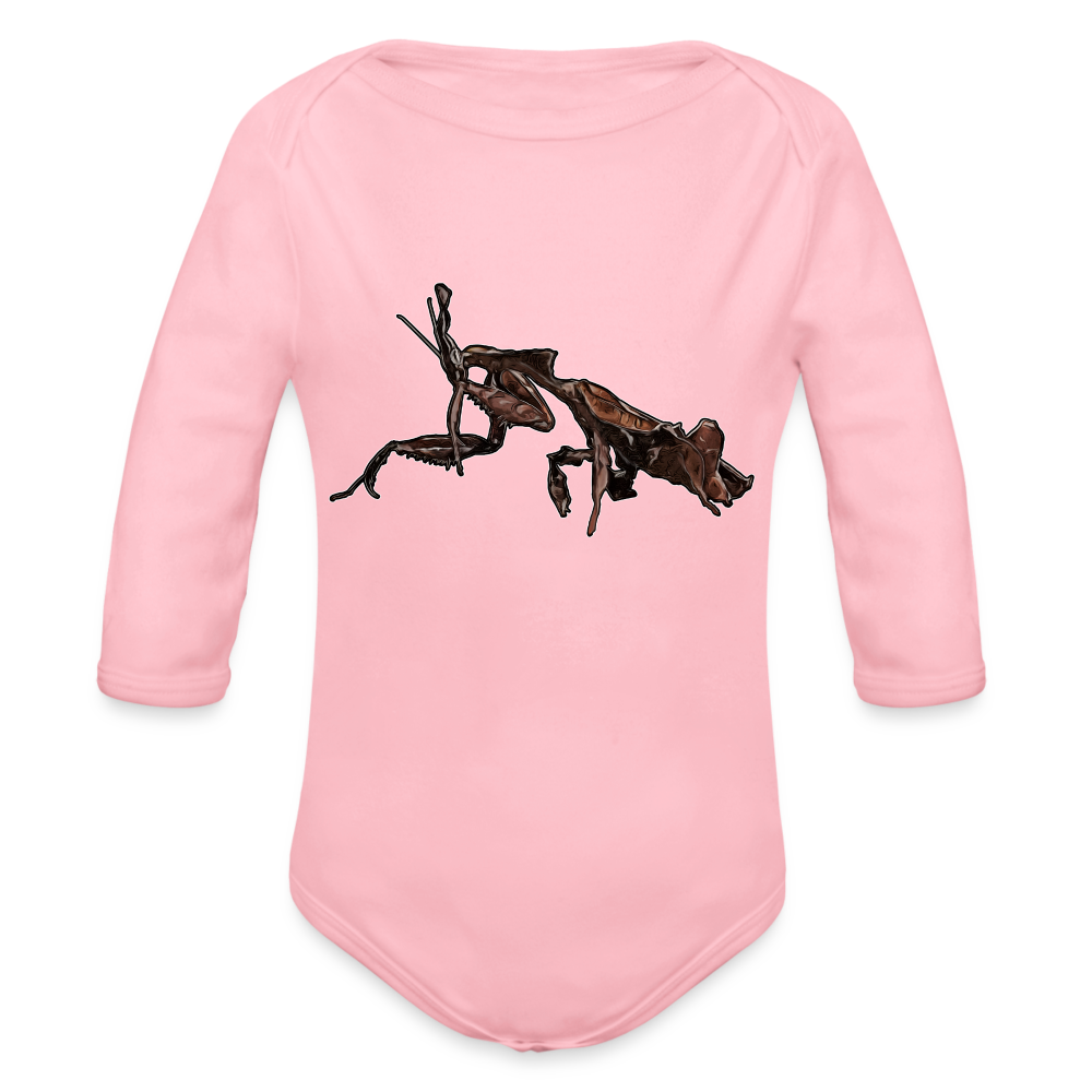 Baby Body lang Phyllocrania paradoxa female 2 - Hellrosa