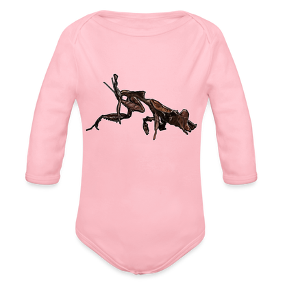 Baby Body lang Phyllocrania paradoxa female 2 - Hellrosa