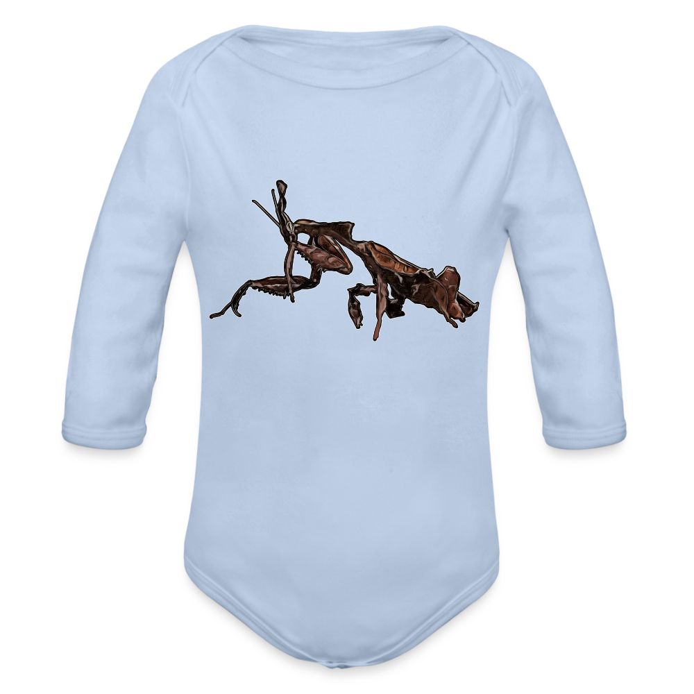 Baby Body lang Phyllocrania paradoxa female 2 - Sky