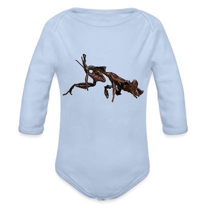 Baby Body lang Phyllocrania paradoxa female 2 - Sky