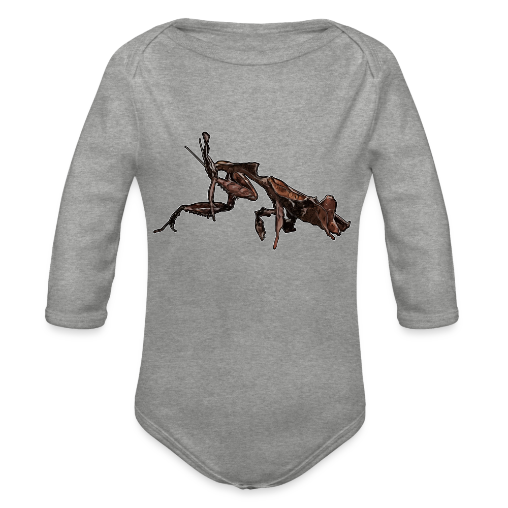 Baby Body lang Phyllocrania paradoxa female 2 - Grau meliert