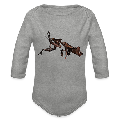 Baby Body lang Phyllocrania paradoxa female 2 - Grau meliert