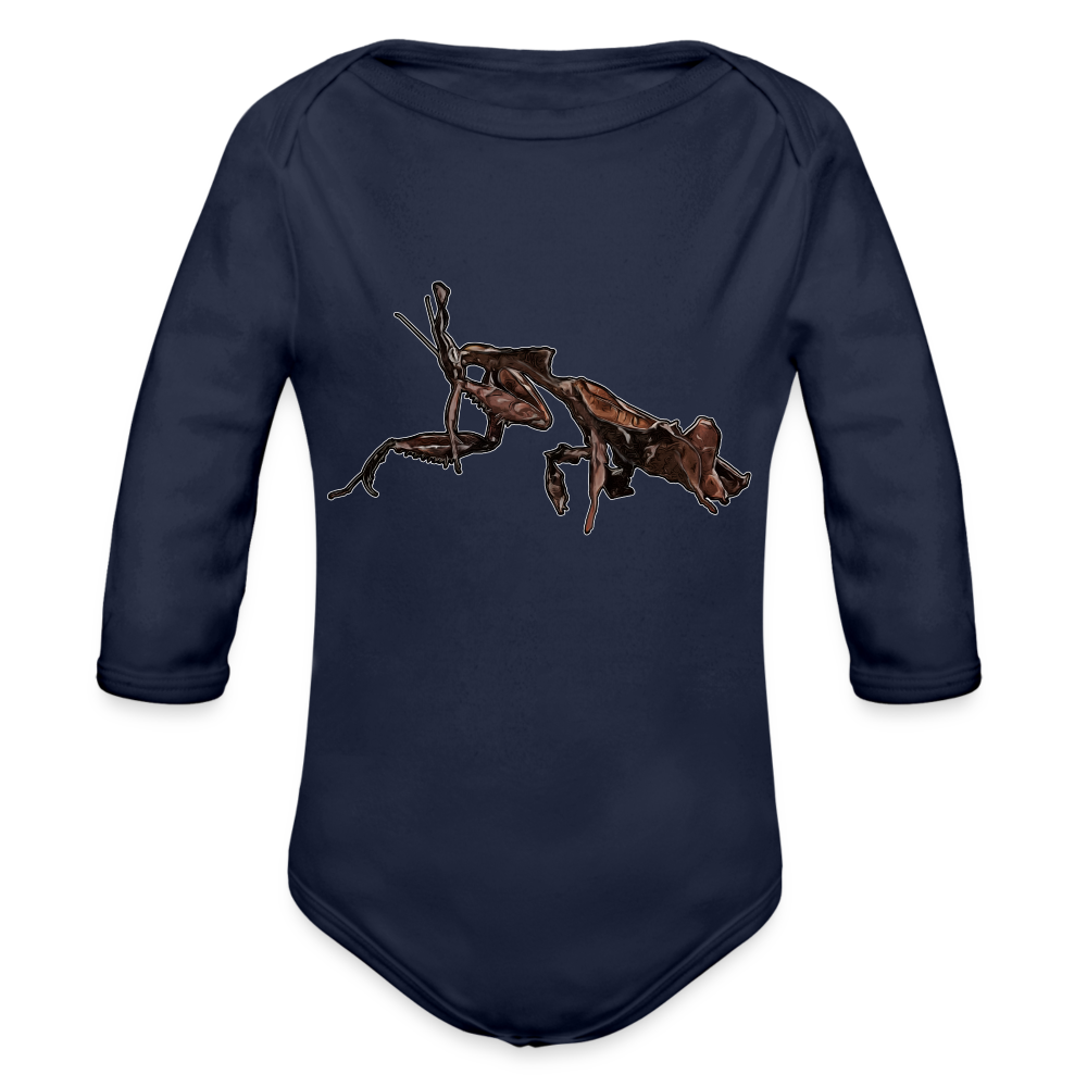 Baby Body lang Phyllocrania paradoxa female 2 - Dunkelnavy