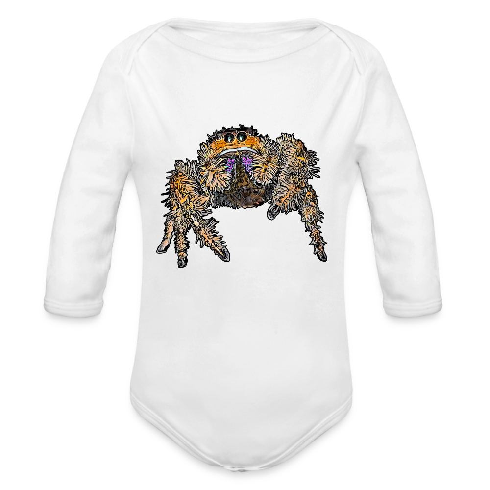 Baby Body lang Phidippus regius Everglades female - weiß