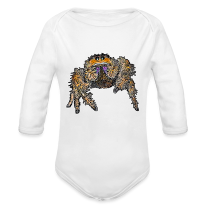 Baby Body lang Phidippus regius Everglades female - weiß