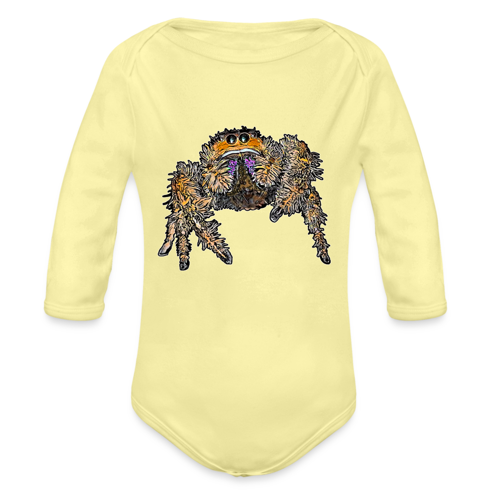 Baby Body lang Phidippus regius Everglades female - Hellgelb