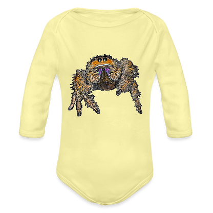 Baby Body lang Phidippus regius Everglades female - Hellgelb