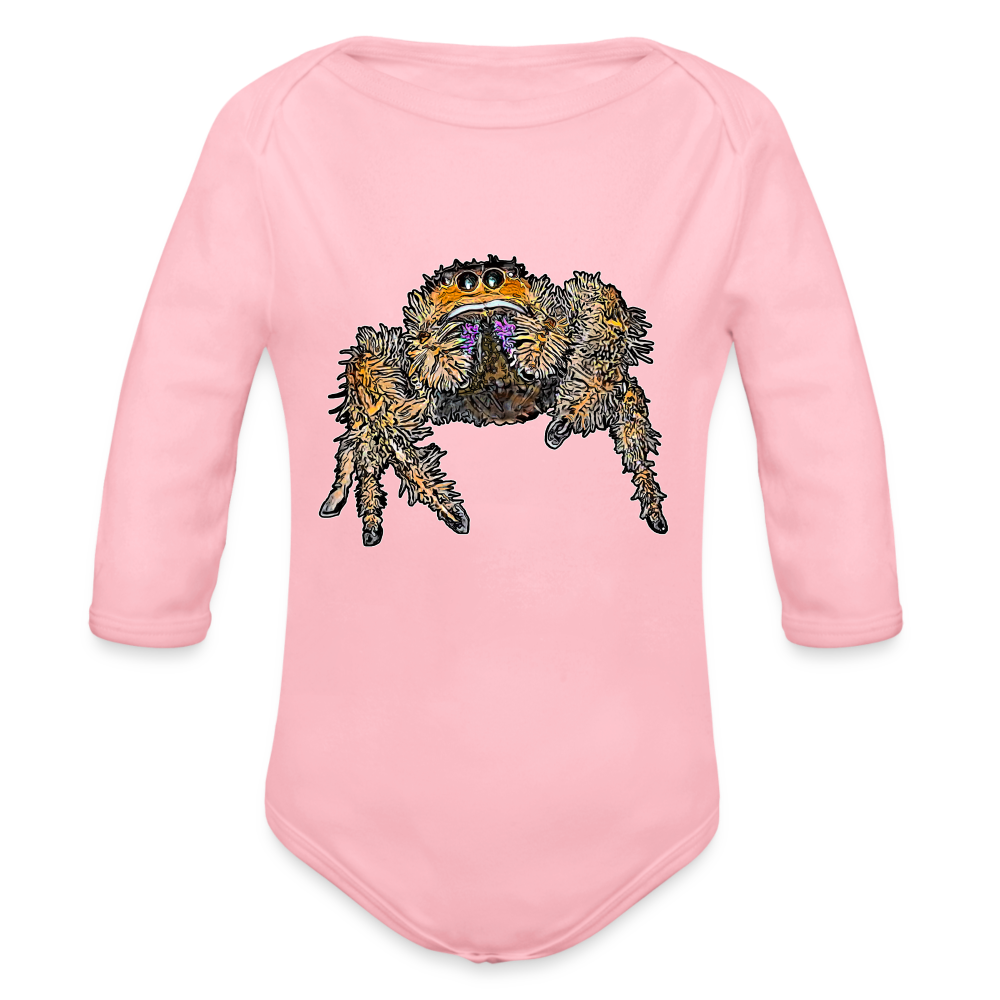 Baby Body lang Phidippus regius Everglades female - Hellrosa