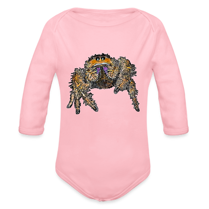 Baby Body lang Phidippus regius Everglades female - Hellrosa