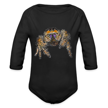 Baby Body lang Phidippus regius Everglades female - Schwarz