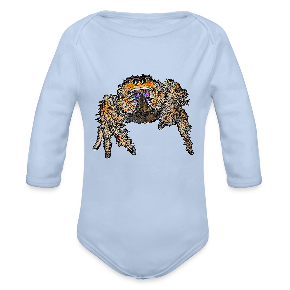 Baby Body lang Phidippus regius Everglades female - Sky