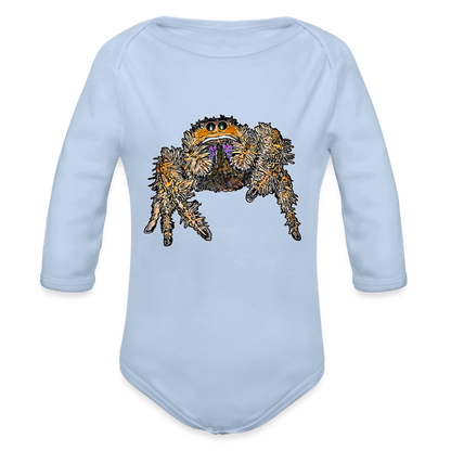 Baby Body lang Phidippus regius Everglades female - Sky