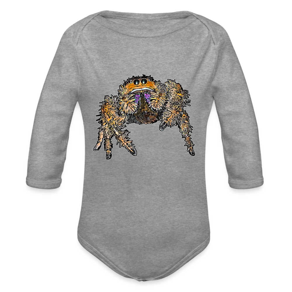 Baby Body lang Phidippus regius Everglades female - Grau meliert