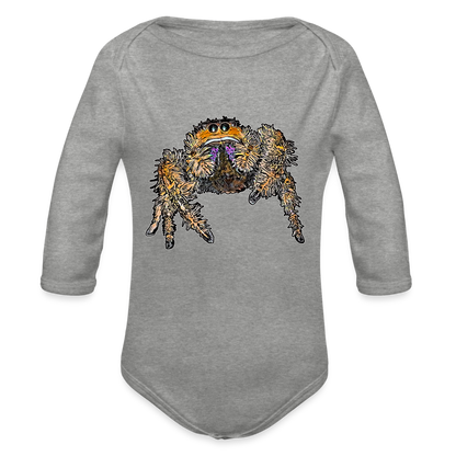 Baby Body lang Phidippus regius Everglades female - Grau meliert