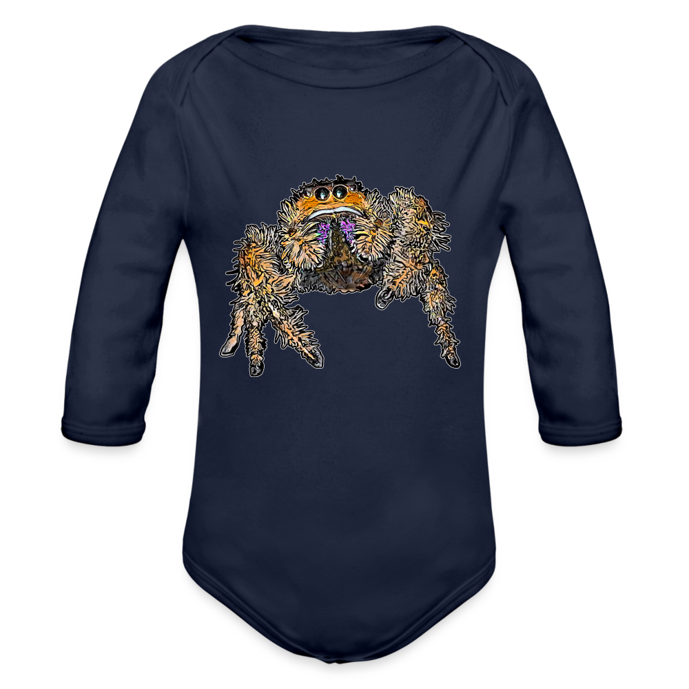 Baby Body lang Phidippus regius Everglades female - Dunkelnavy