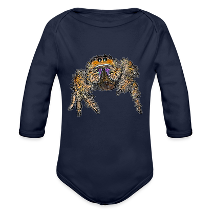 Baby Body lang Phidippus regius Everglades female - Dunkelnavy