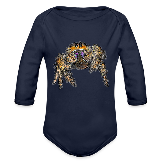 Baby Body lang Phidippus regius Everglades female - Dunkelnavy