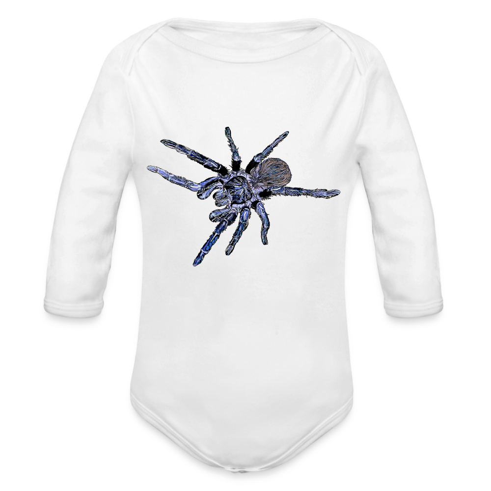 Baby Body lang Pterinopelma sazimai - weiß