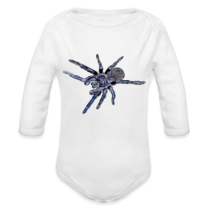 Baby Body lang Pterinopelma sazimai - weiß