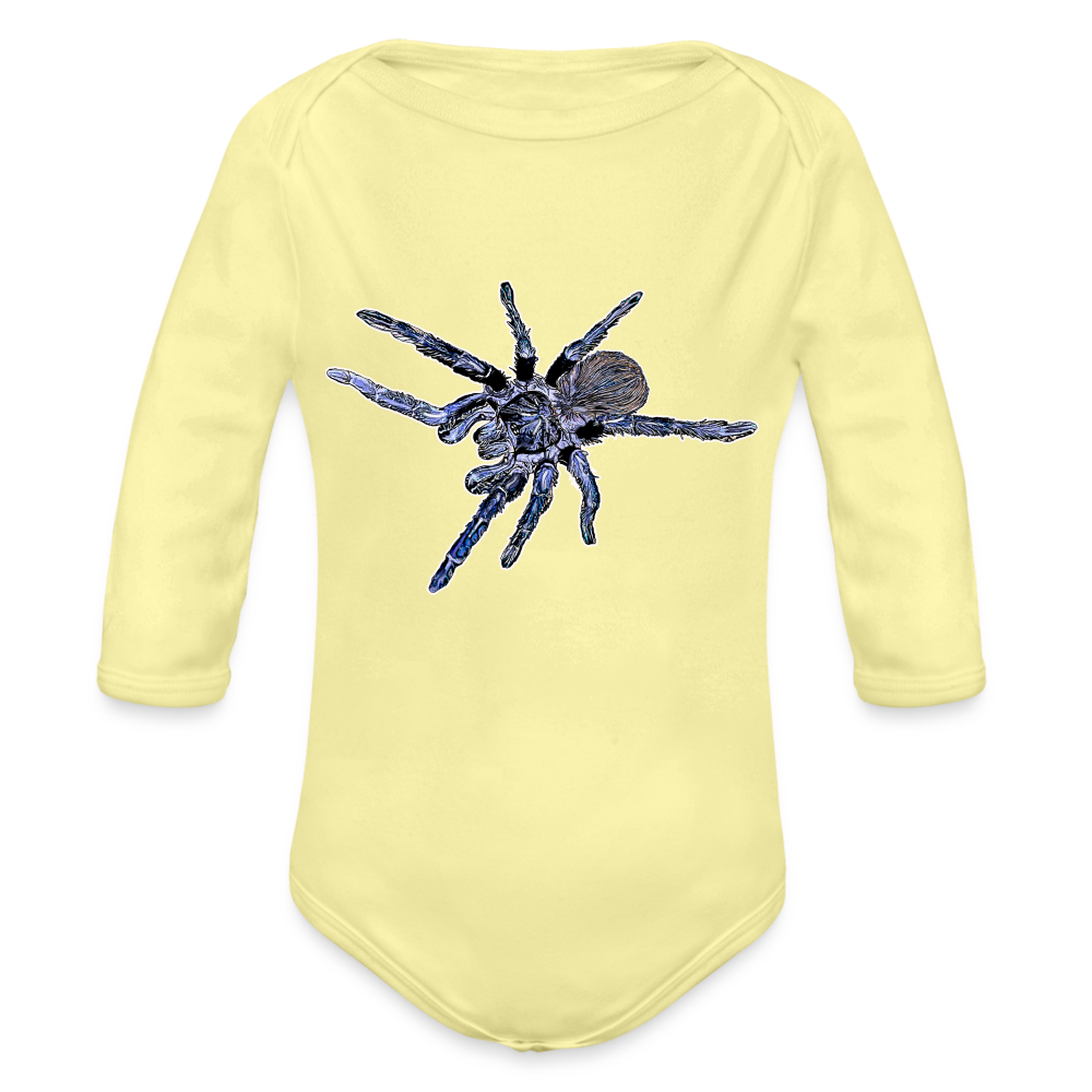 Baby Body lang Pterinopelma sazimai - Hellgelb