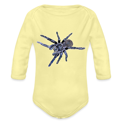 Baby Body lang Pterinopelma sazimai - Hellgelb