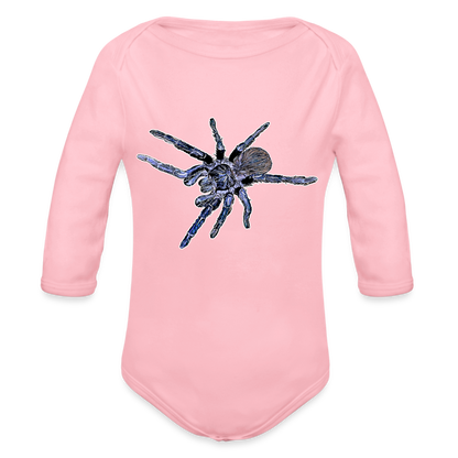 Baby Body lang Pterinopelma sazimai - Hellrosa