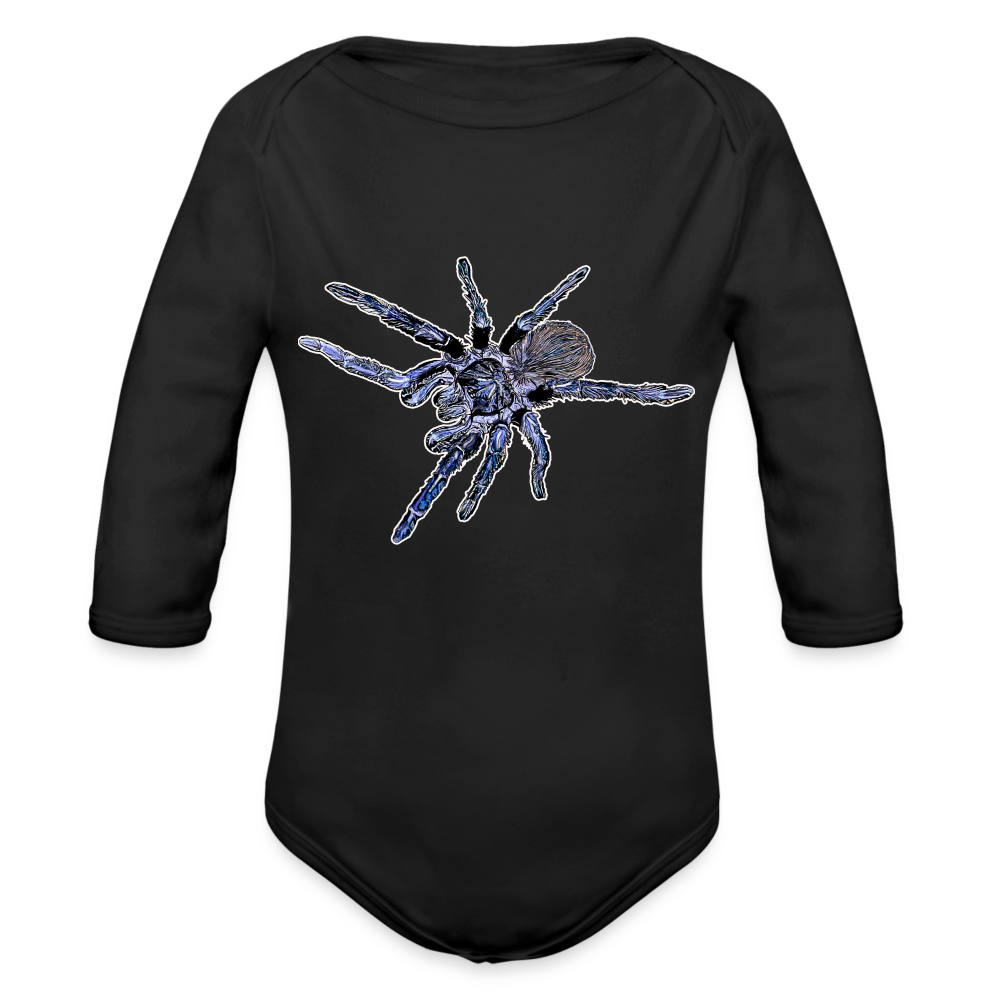 Baby Body lang Pterinopelma sazimai - Schwarz