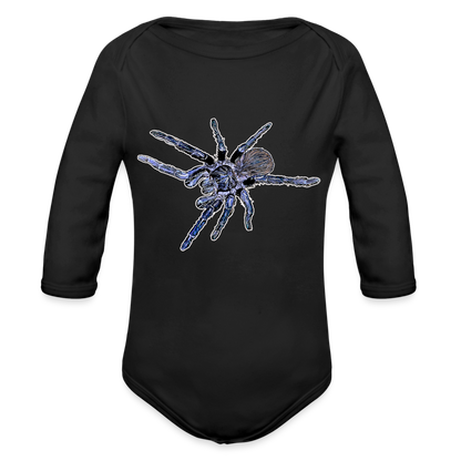 Baby Body lang Pterinopelma sazimai - Schwarz