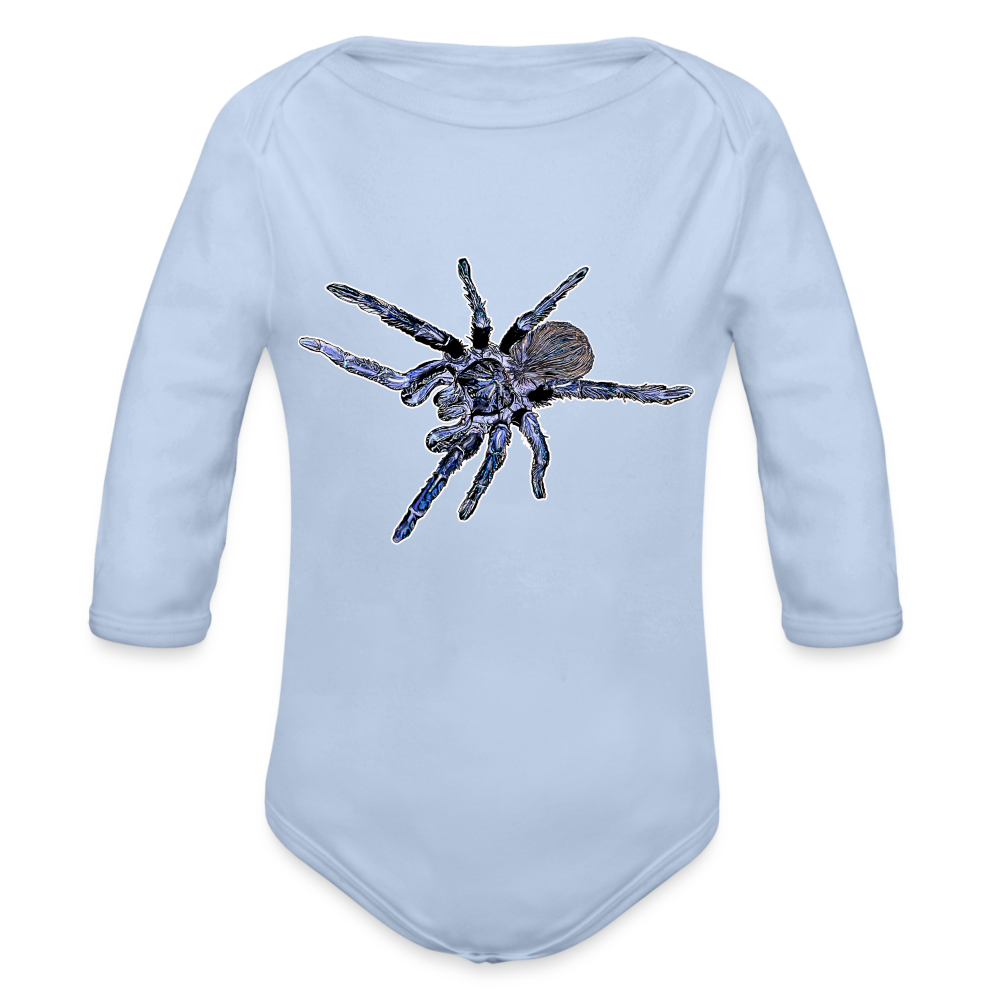 Baby Body lang Pterinopelma sazimai - Sky