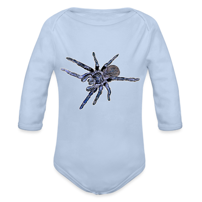 Baby Body lang Pterinopelma sazimai - Sky