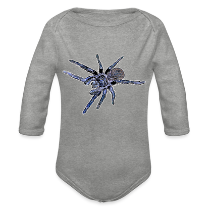 Baby Body lang Pterinopelma sazimai - Grau meliert