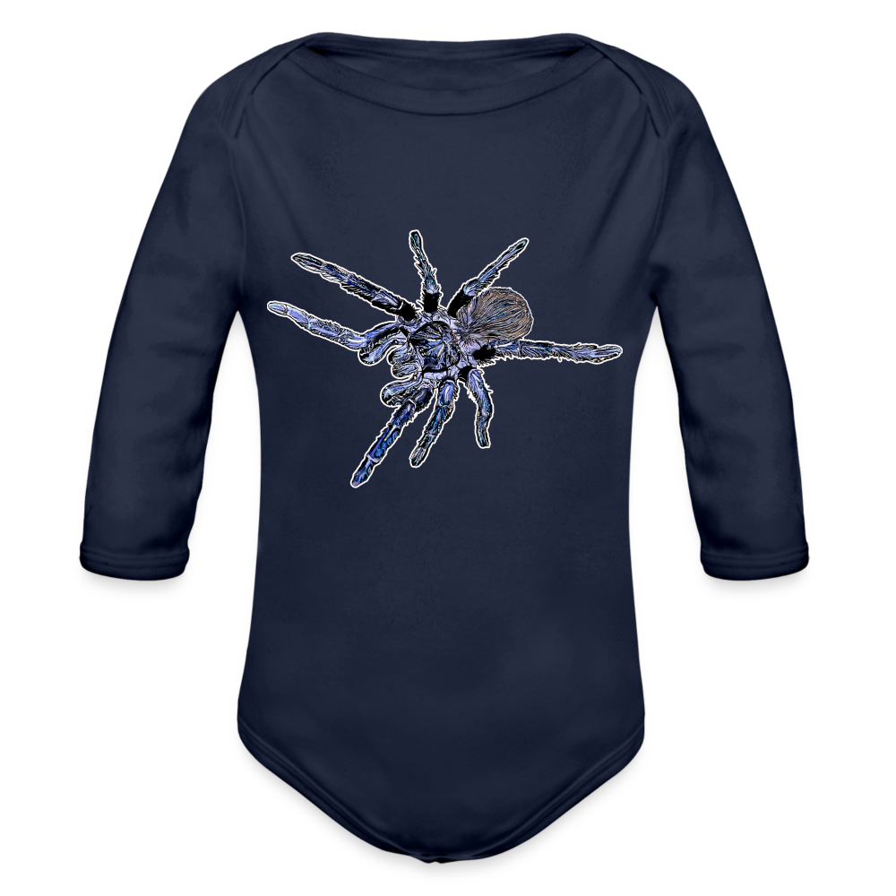 Baby Body lang Pterinopelma sazimai - Dunkelnavy