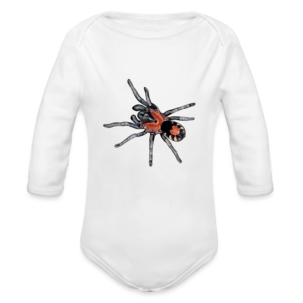 Baby Body lang Cyriocosmus elegans - weiß