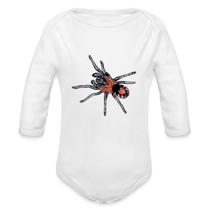 Baby Body lang Cyriocosmus elegans - weiß