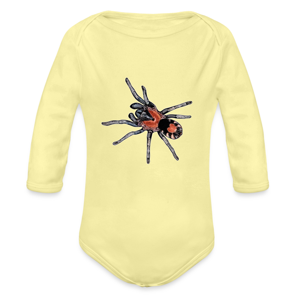 Baby Body lang Cyriocosmus elegans - Hellgelb