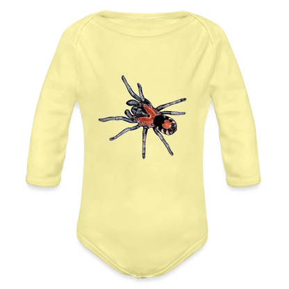 Baby Body lang Cyriocosmus elegans - Hellgelb