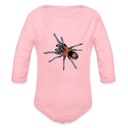 Baby Body lang Cyriocosmus elegans - Hellrosa